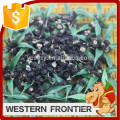 Tipo de cultivo orgánico nuevo cultivo negro goji berry